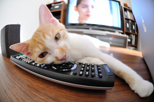 爱游戏官网首页-全国青少年“篮球创新杯”线上创新创业大赛正式启动,青少年篮球杯名字