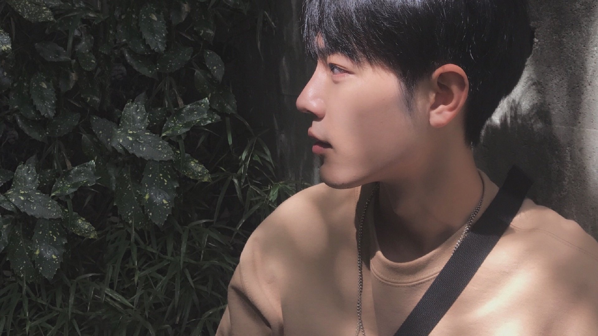 爱游戏娱乐平台-数字化青训“全链条”管理平台在多城市试点，行业迈入智能时代