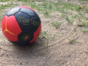 AYX体育-安提瓜和巴布达在中美洲锦标赛中夺冠，体育实力不断崛起